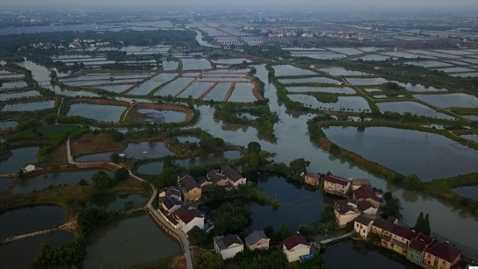 Zöld gazdálkodás a kínai vízi falvakban
