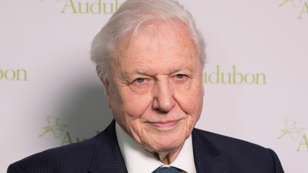 David Attenborough: a világ sokkal jobban járna, ha az emberek egyáltalán nem lennének itt