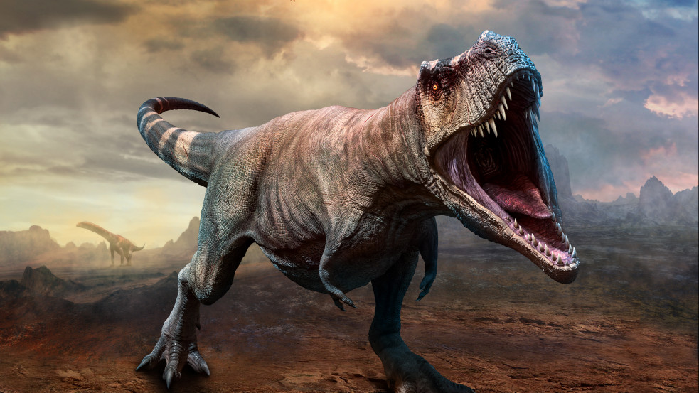 Rendkívül lassan bandukolhatott a félelmetes T-rex, derül ki egy új kutatásból - Videó