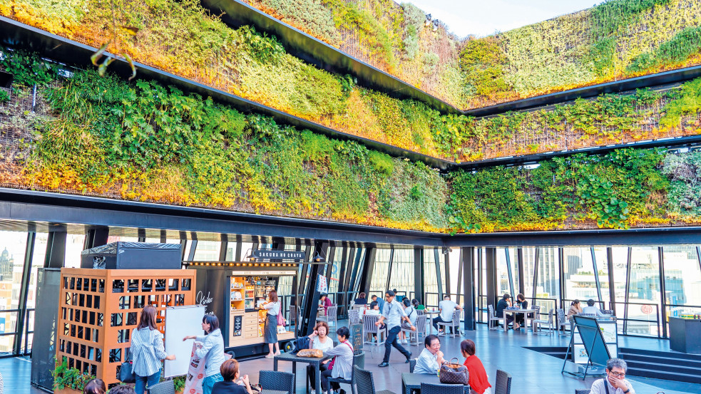 Vertikális kertek: alternatív élet a betondzsungelben