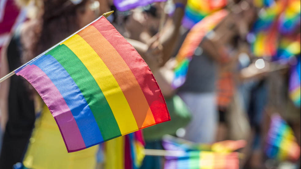 Népszavazást kezdeményeztek a melegházasságot engedélyező svájci törvény eltörlésére