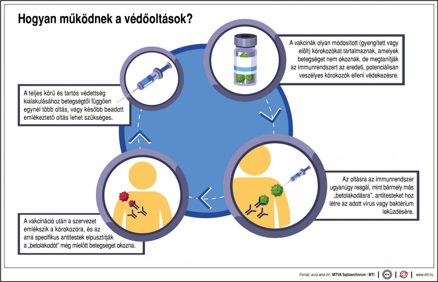 MTI-Grafika