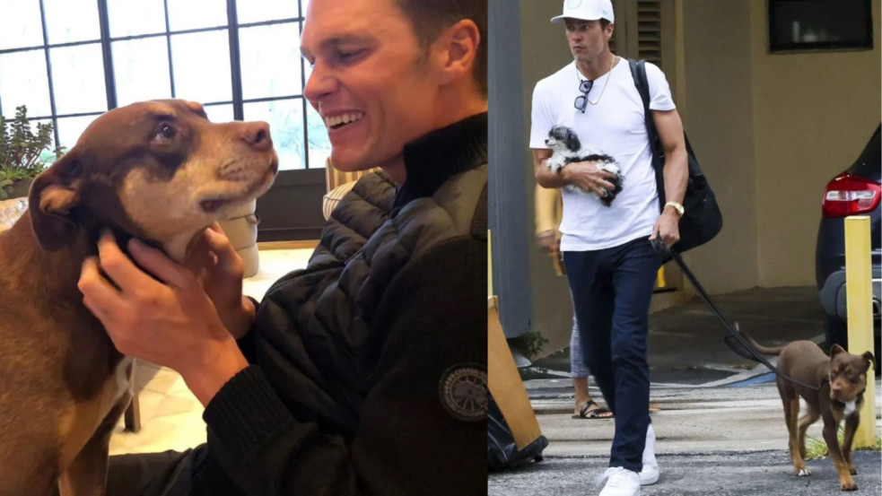 Klónoztatta halott kutyáját Tom Brady
