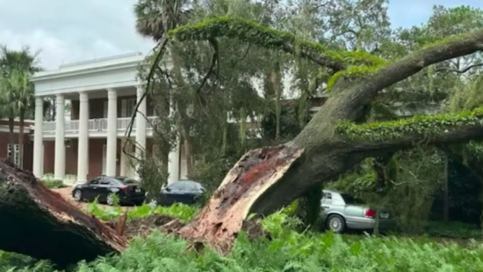 Fotó: olyan brutális hurrikán pusztított Floridában, hogy DeSantis házára is fa dőlt