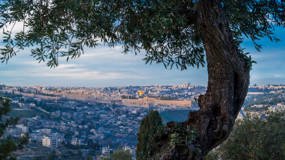 A láthatatlan szemtanúk: Rejtett részletek és különbségek az evangéliumokban