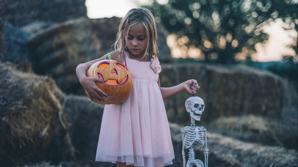 Fizetünk, hogy féljünk - meghozzá egyre többet