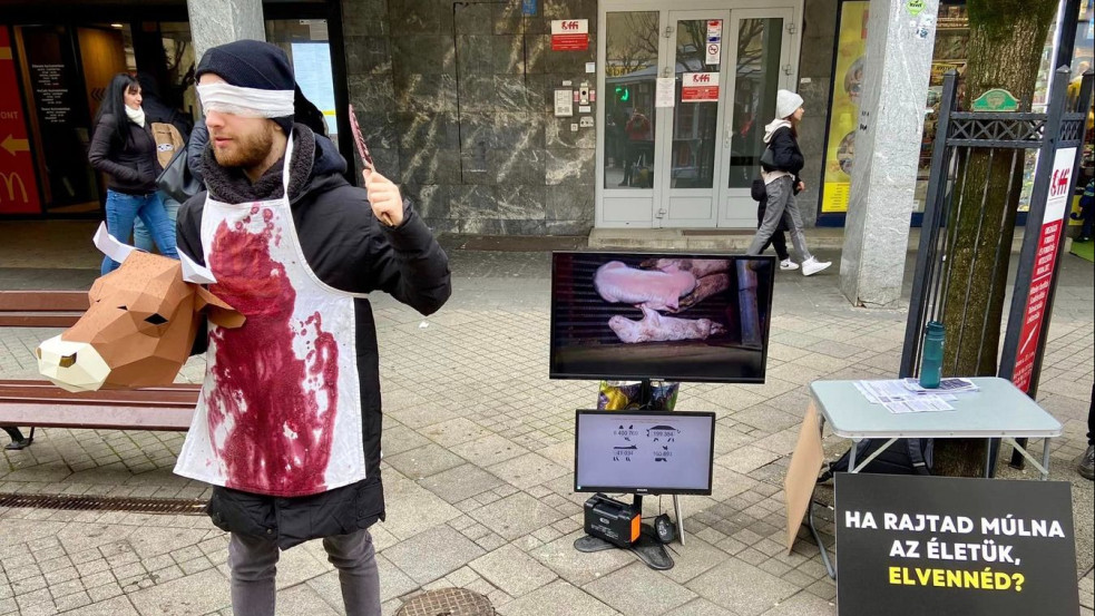 „Ők is ártatlanok, de ők nem támadnak fel” - Blaszfémikus akcióval tüntettek a vegánok a Ferenciek terén