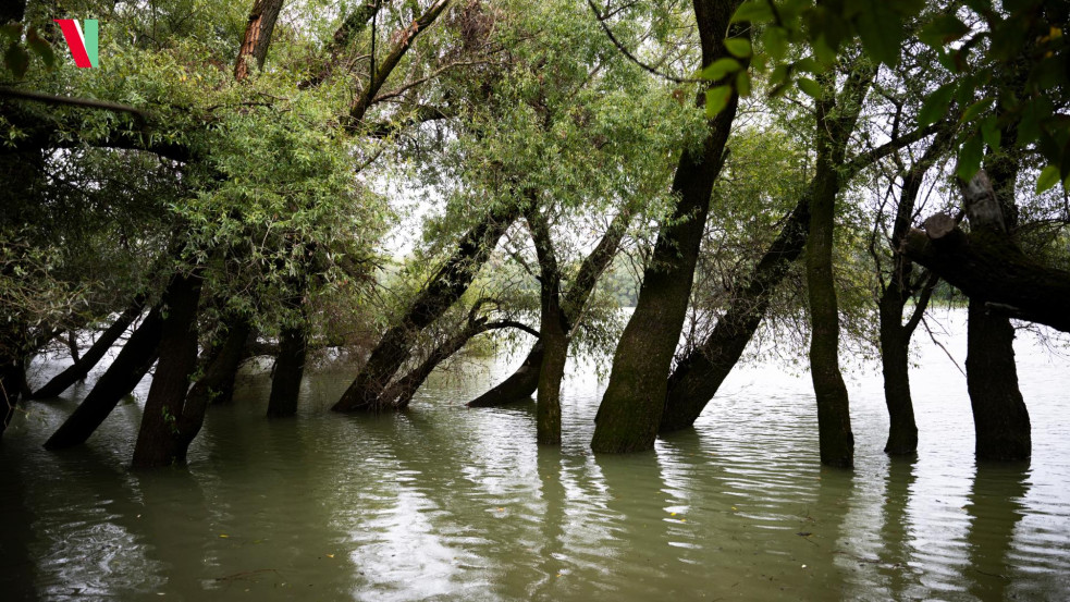 Percről percre: Lezárták a Margitszigetet, Kisoroszit elvágja a víz a külvilágtól, de nem fog megdőlni a 2013-as rekord