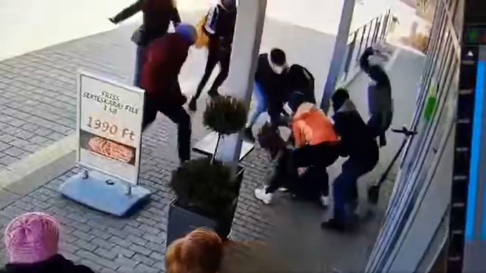 (18+) Brutális támadássorozat Budapesten: külföldi radikálisok estek viperával gyanútlan járókelőknek - videó