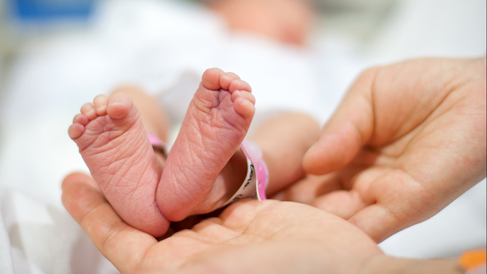 Az apatej, a szoptató személy és a várandós szülő is bekerült egy kórházi útmutatóba