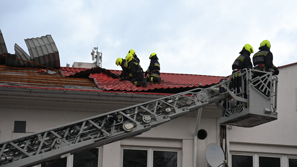 Kidőlt fák, leomlott kémények: Több mint 200 helyre riasztották a tűzoltókat 