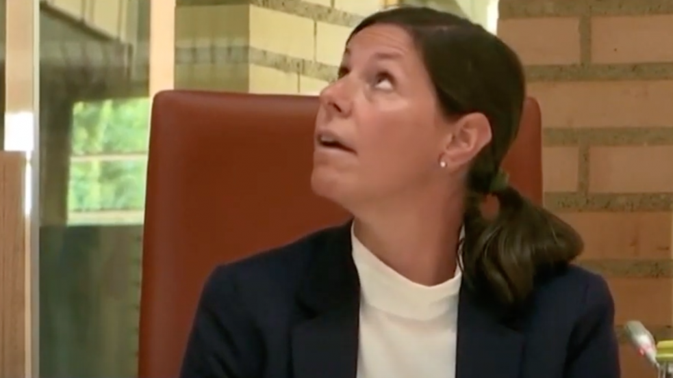 Földrengés rázta meg Liechtensteint, miközben a földrengés volt a téma a parlamentben