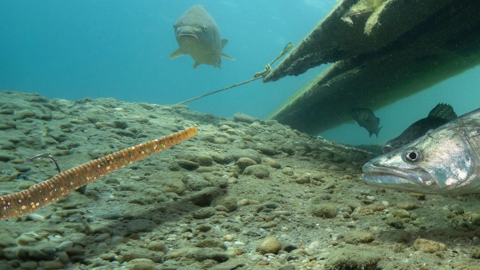 Merüljünk el a pergetőhorgászat világában: a jigek szerepe (x)