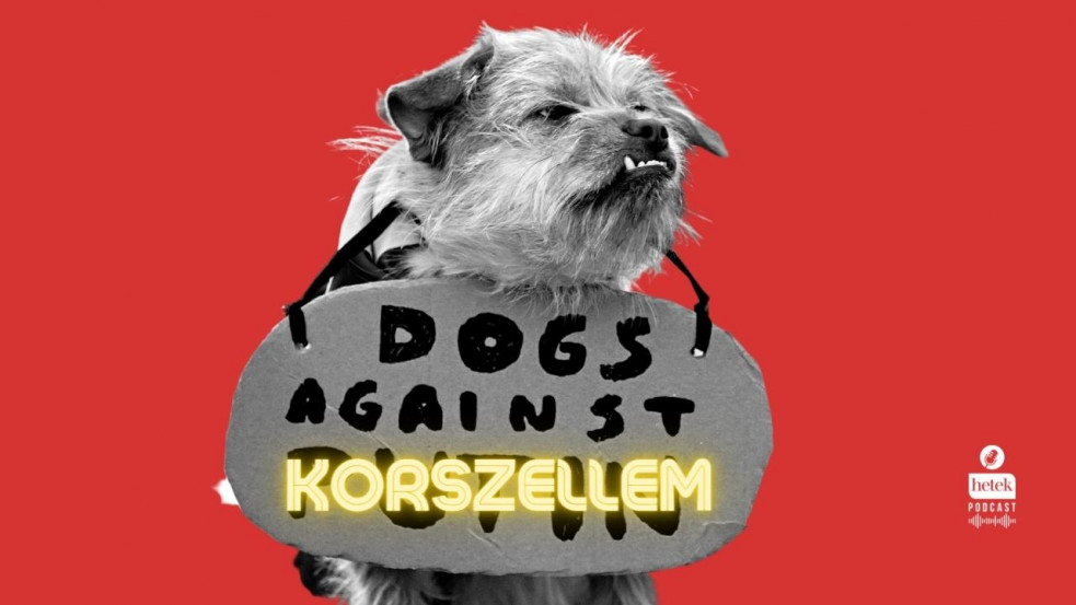 Ukrajnai háború, LMBTQ vagy Covid: hova tettük a józan eszünket?