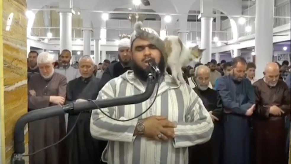 Videó: macska ugrott egy imámra a ramadani ima közben, rezzenéstelen arccal folytatta tovább