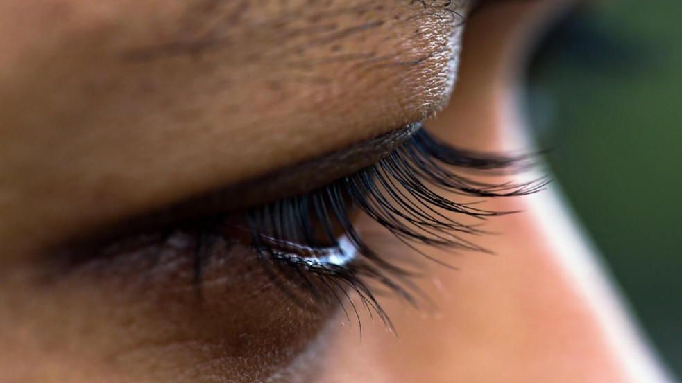 Az első lépések a műszempilla-építés terén (x)