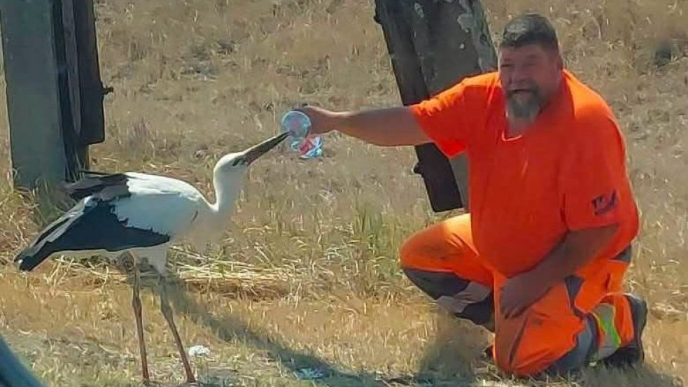 Saját vizéből itatott meg egy szomjas gólyát egy közutas