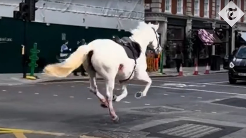 Videó: vérrel borított lovak szabadultak el London belvárosában, többen megsérültek