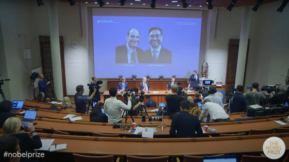 Nem Karikó Katalin kapta az orvosi Nobel-díjat