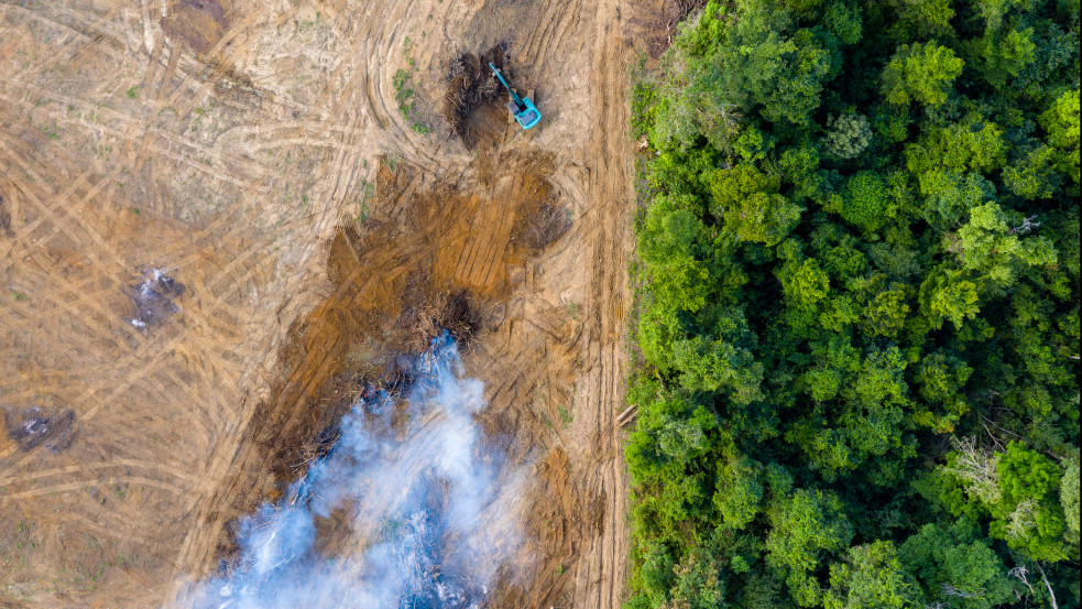 Áttörés az erdőirtás megfékezésében: műholdas technológiával látják el az őslakosokat