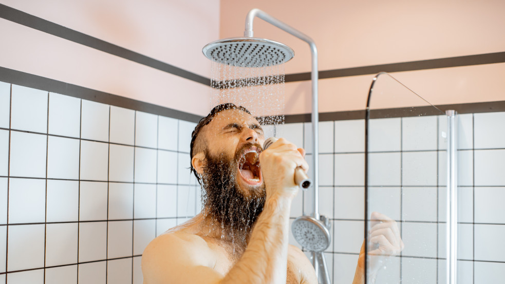 "Zuhanyozz kevesebbet, csökkentsd az energiaköltségeket!" - buzdít a német Bild