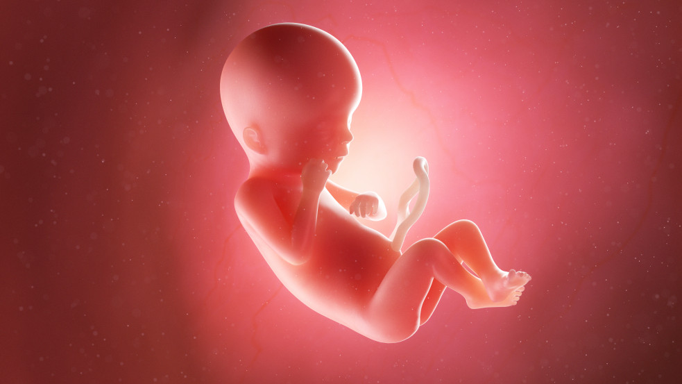 „Az egyenlőség az anyaméhben kezdődik” – bejelentették a világ legnagyobb életpárti menetének 2022-es mottóját