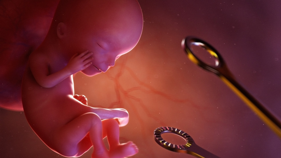 Újabb lépés a liberalizáció felé? Részletes tájékoztatást adhatnak ezentúl az abortuszról a német orvosi rendelők