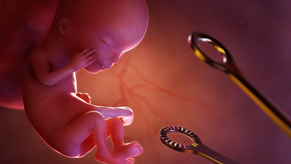 "Több nő nem halhat meg!" - szólít fel az Európai Parlament, miközben követeli a lengyel abortusztörvény lazítását