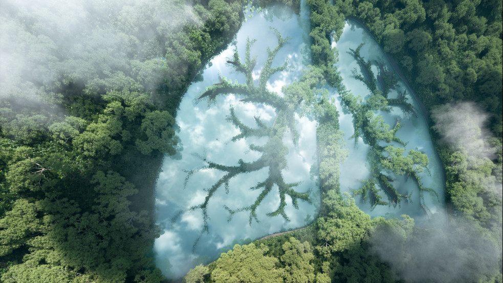 Nature: több szén-dioxidot bocsátanak ki az Amazonas erdei, mint amennyit elnyelnek