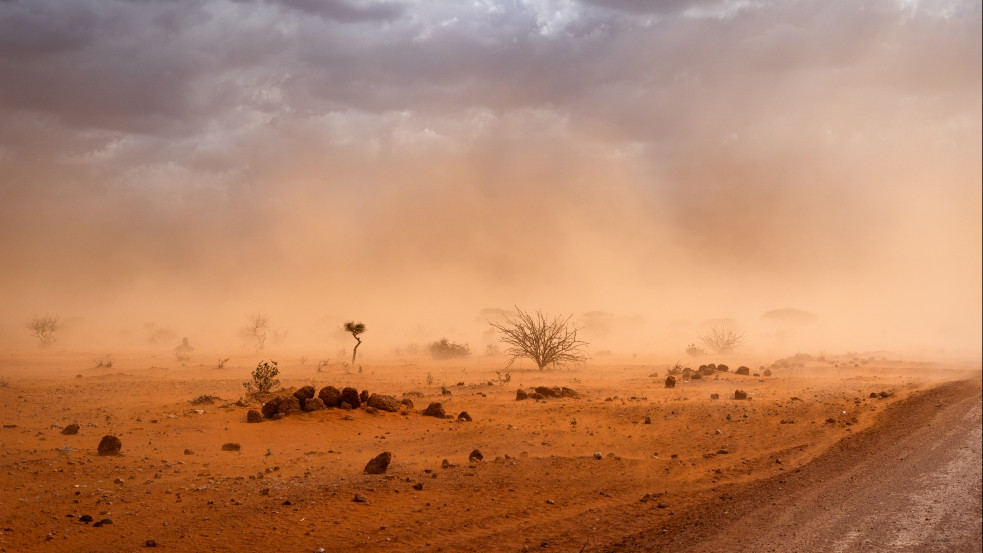 ENSZ: nagy éhínség fenyegeti Szomáliát