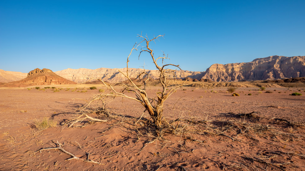 Izrael a világ forró pontja: kétszer olyan súlyos a klímaváltozás hatása, mint az átlag