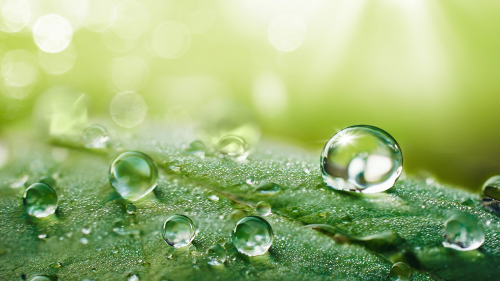 Egyre több vegyszert tartalmaz az esővíz szerte a világon