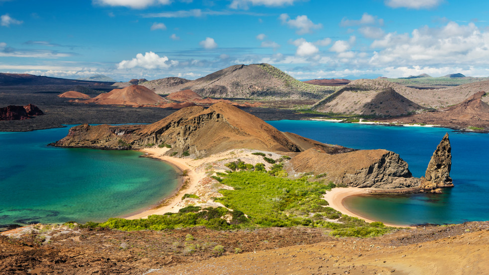 Száz éve kihaltnak hitték, most egy bozótosban sétálva találtak rá