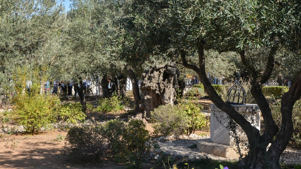  „A Jeruzsálemhez való kapcsolódás az Olajfák hegyén kezdődik” - Látogatóközpont és zsinagóga épül a történelmi helyszínen