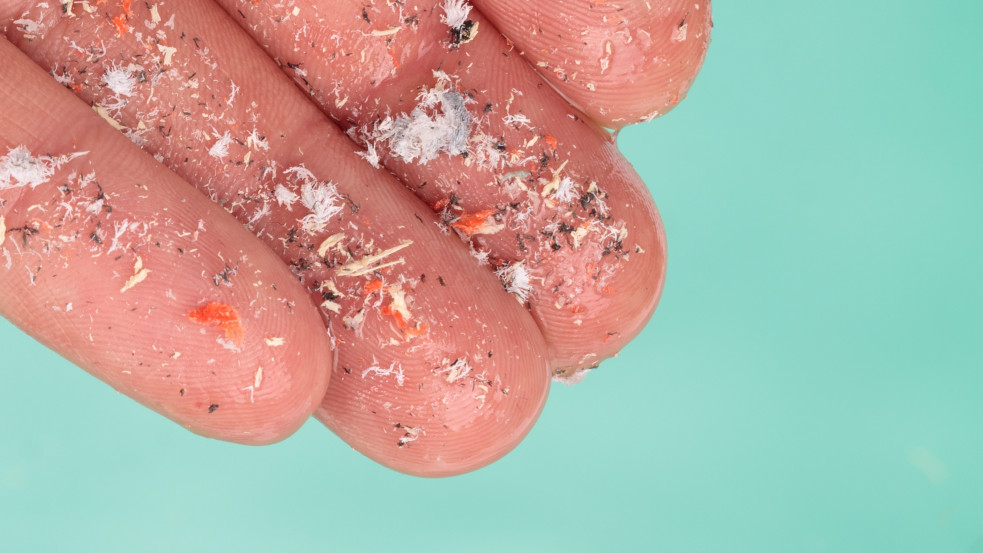 Döbbenetes: A sejtjeinkbe is behatolhatnak, sőt még a méhlepényen is átjuthatnak a mikroszkopikus műanyagdarabkák