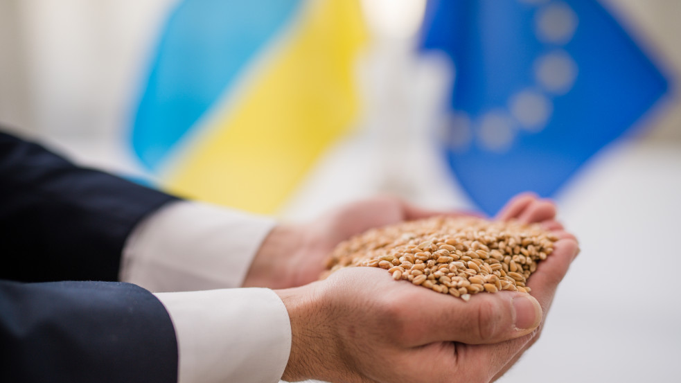 Friss jelentés: az EU-ban jóval nagyobb az elpazarolt búza mennyisége, mint a búzaimport