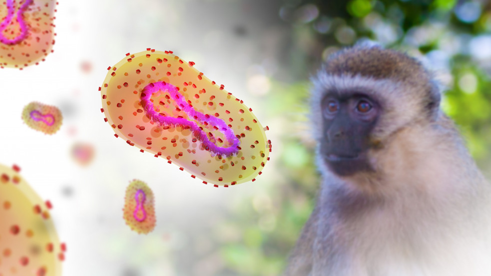 Több mint százezer adag majomhimlő elleni vakcinát vesz az EU