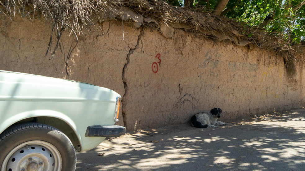 Iránban sorra tartóztatják le a kutyasétáltatókat – a sivatagba deportálnák a házikedvenceket 