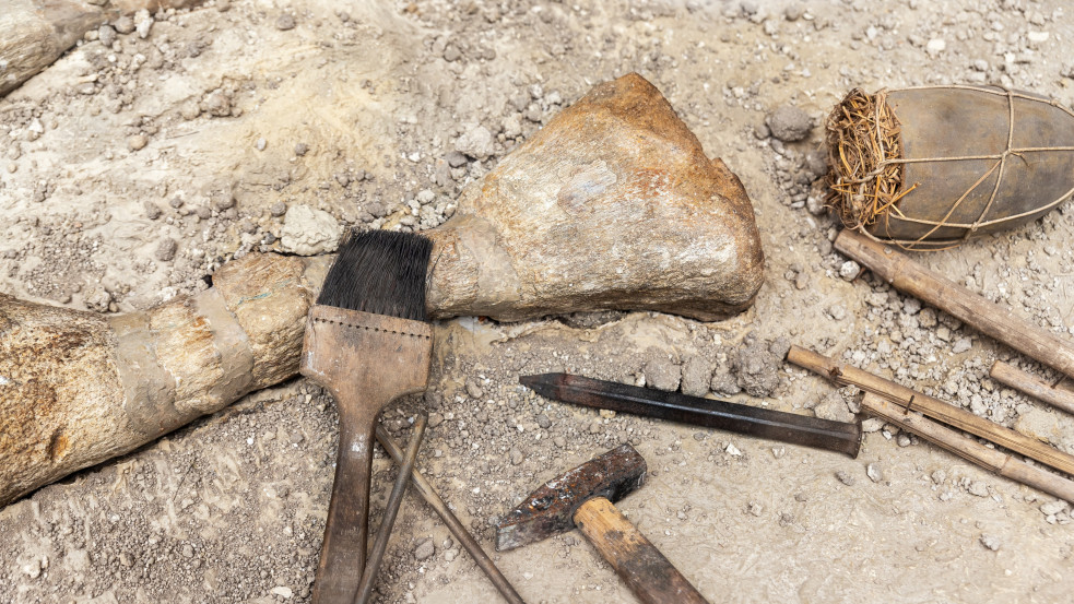 Rendkívüli dinoszaurusz-lelőhelyet fedeztek fel Erdélyben