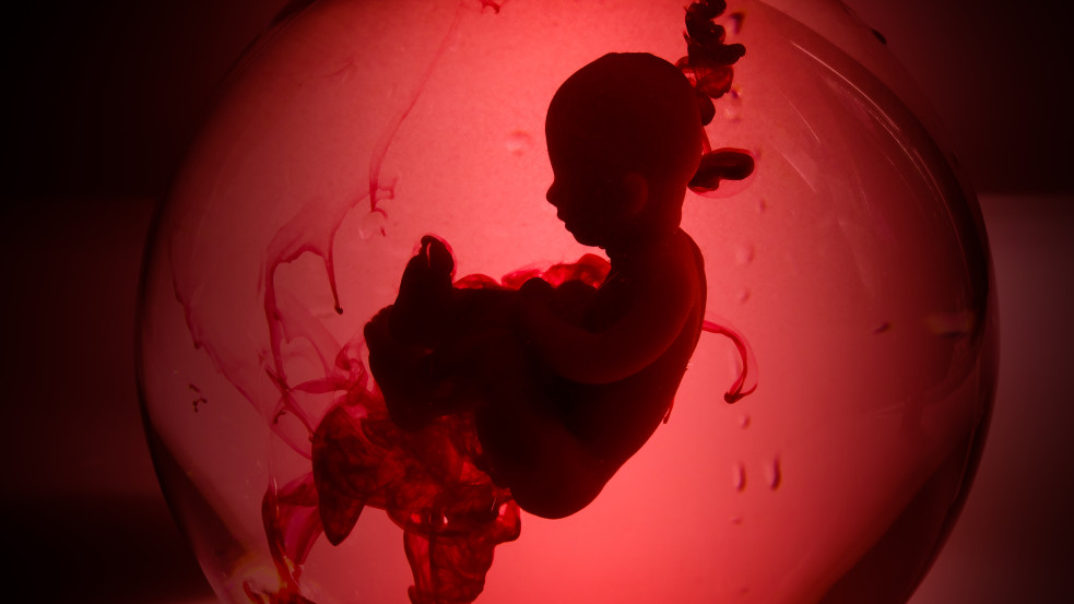 Alkotmányba foglalják az abortuszhoz való jogot Franciaországban