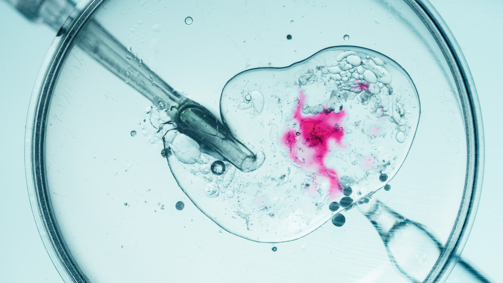 Disztópikus: IVF-embriókból készült ékszereket reklámoz egy brit cég