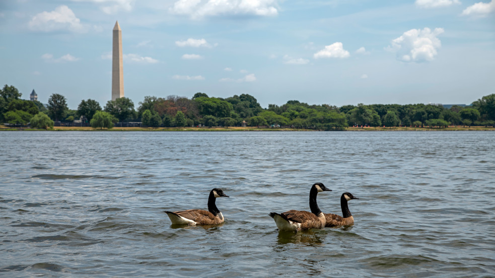 Veszélyben Washington vízellátása: 900 millió liter szennyvíz került az amerikai főváros folyójába