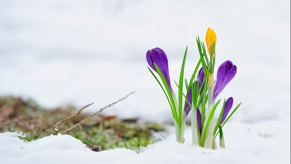 Nagyon kemény lehűlés várható a húsvéti hosszú hétvégére - hózápor is előfordulhat