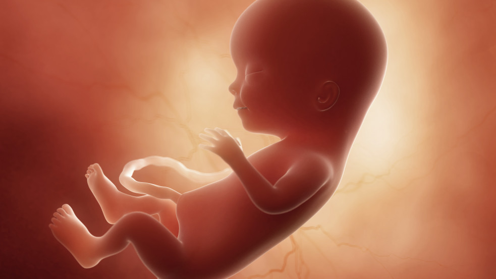 Ekkora babát már legálisan abortálhatnak Kolumbiában