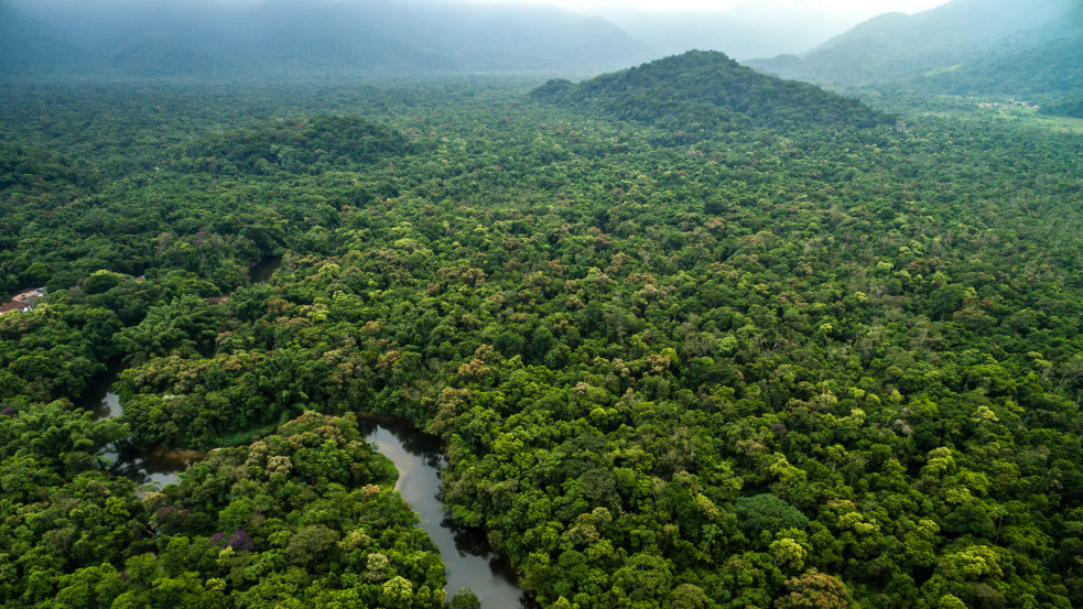 Meglepően fejlett, 2500 éves város romjaira bukkantak az Amazonas vidékén
