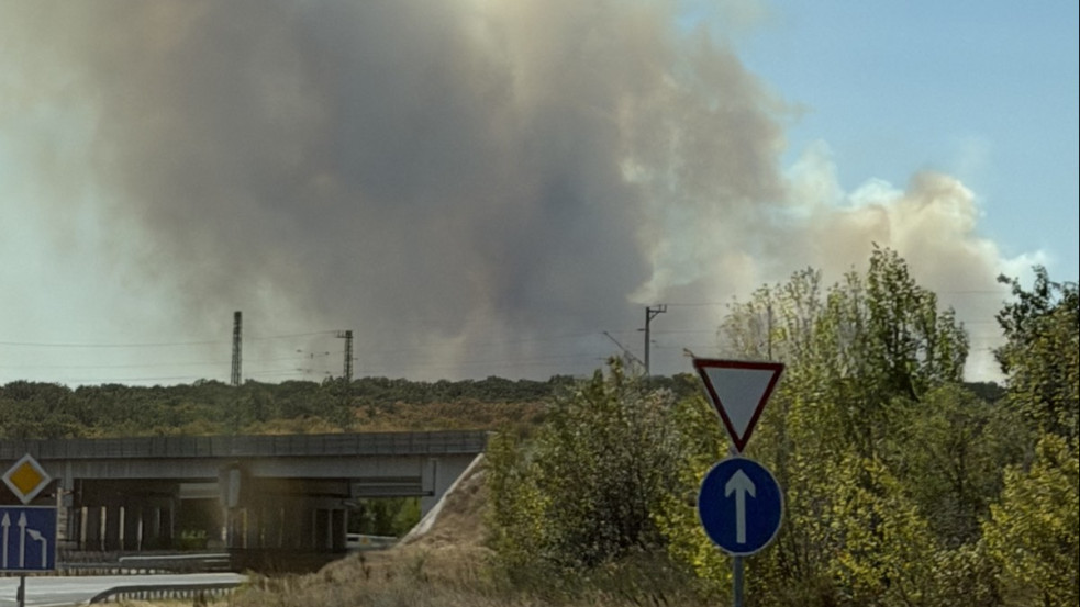 Olvasónk küldte: Óriási a tűz Várpalota közelében, három megyéből érkeztek ki a tűzoltók