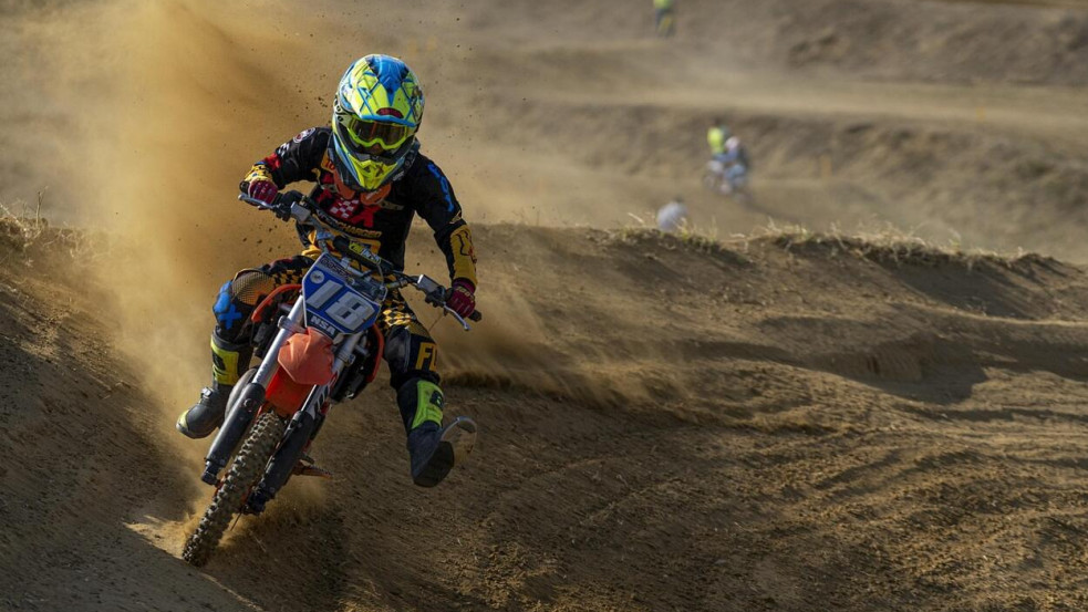 Az elektromos terepmotorok előnyei: miért válassza őket? (x)